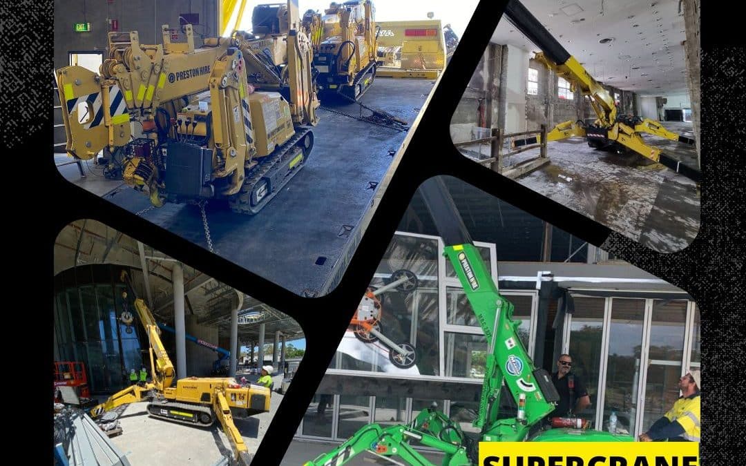 5 Reasons Why Mini Crane Hire is Indispensable to the Construction Industry